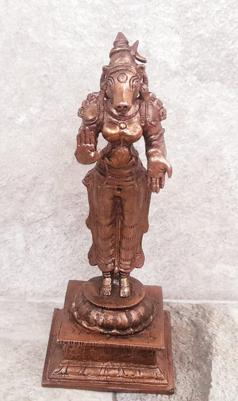 Brownish-Orange Copper Idols India, 4.8 Inches, Handmade Standing Goddess Varahi, 380 Gram, Patina Antique Finish, Pack Of 1 Piece